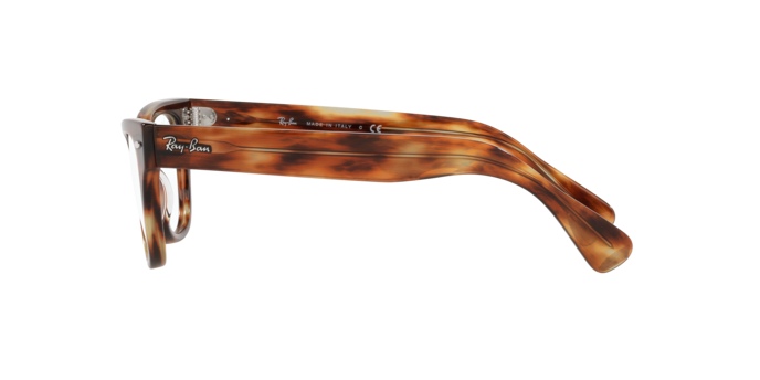 Ray-Ban Laramie Eyeglasses RX2201V 2144