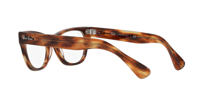 Ray-Ban Laramie Eyeglasses RX2201V 2144