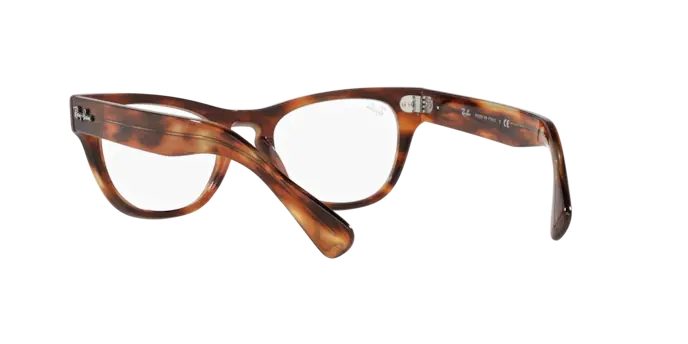 Ray-Ban Laramie Eyeglasses RX2201V 2144