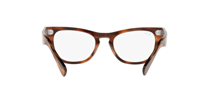 Ray-Ban Laramie Eyeglasses RX2201V 2144
