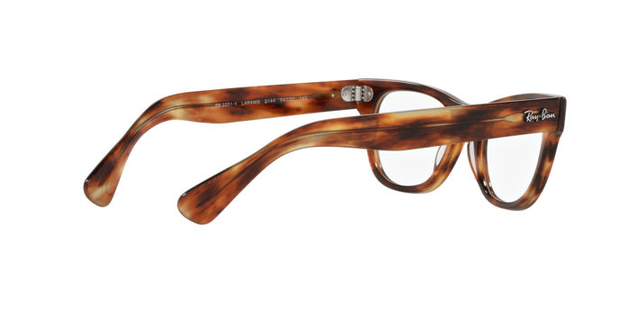 Ray-Ban Laramie Eyeglasses RX2201V 2144