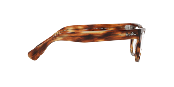 Ray-Ban Laramie Eyeglasses RX2201V 2144
