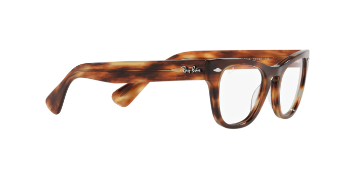 Ray-Ban Laramie Eyeglasses RX2201V 2144