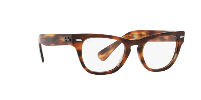 Ray-Ban Laramie Eyeglasses RX2201V 2144