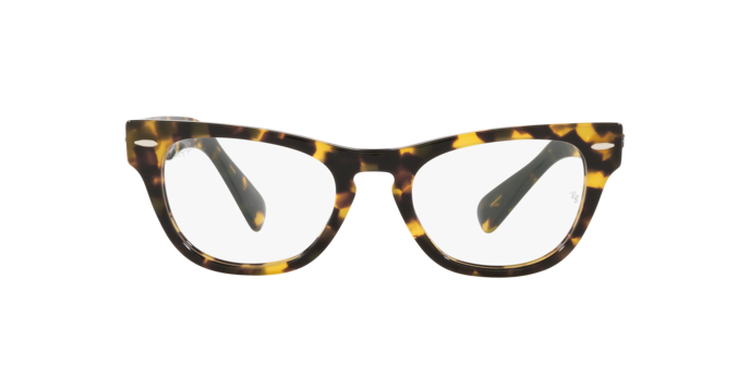 Ray-Ban Laramie Eyeglasses RX2201V 8116