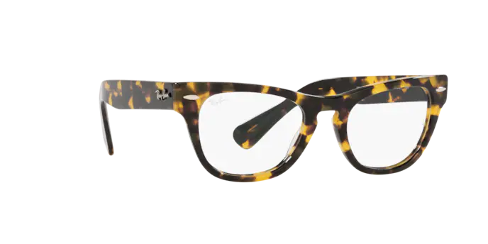 Ray-Ban Laramie Eyeglasses RX2201V 8116