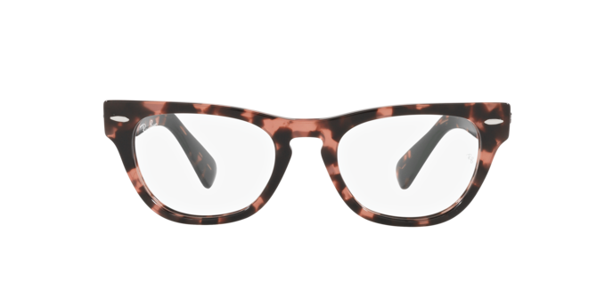 Ray-Ban Laramie Eyeglasses RX2201V 8118