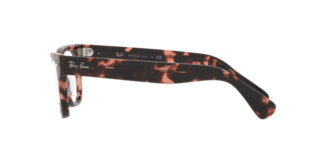 Ray-Ban Laramie Eyeglasses RX2201V 8118