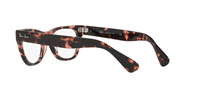 Ray-Ban Laramie Eyeglasses RX2201V 8118