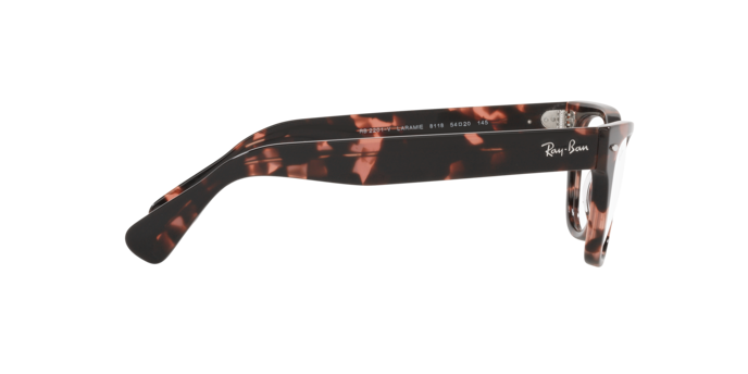 Ray-Ban Laramie Eyeglasses RX2201V 8118