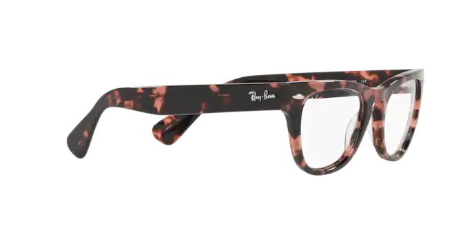 Ray-Ban Laramie Eyeglasses RX2201V 8118