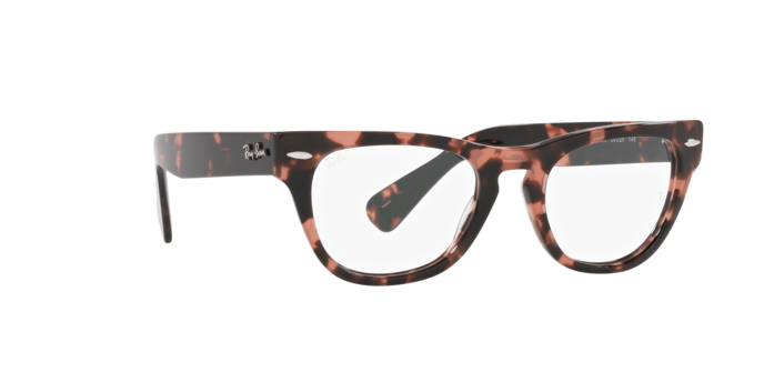 Ray-Ban Laramie Eyeglasses RX2201V 8118