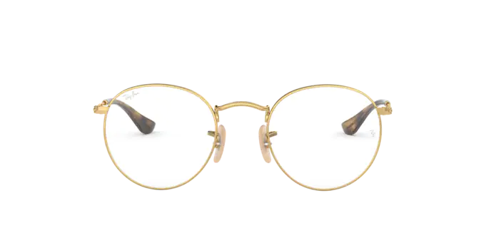 Ray-Ban ROUND METAL RX3447V 3118