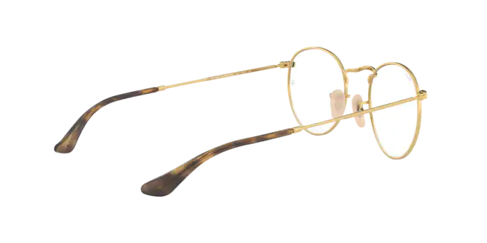 Ray-Ban ROUND METAL RX3447V 3118