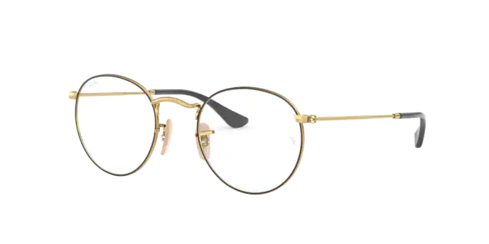 Ray-Ban Round Metal Eyeglasses RX3447V 2991