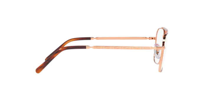 Ray-Ban New Caravan Eyeglasses RX3636V 3094