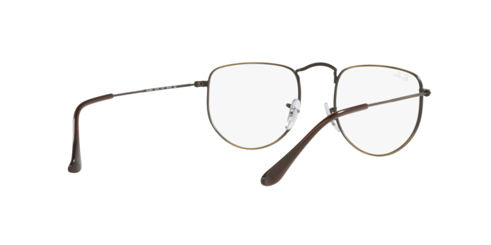 Ray-Ban Elon Eyeglasses RX3958V 3117