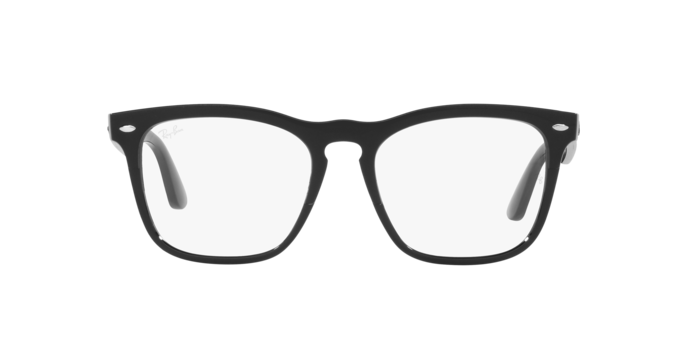 Ray-Ban Steve Eyeglasses RX4487V 8192