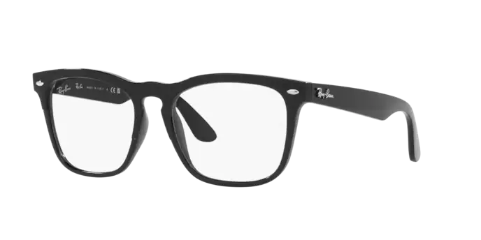 Ray-Ban Steve Eyeglasses RX4487V 8192