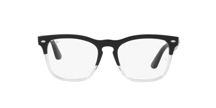 Ray-Ban Steve Eyeglasses RX4487V 8193