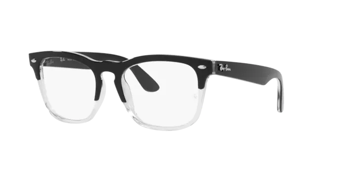 Ray-Ban Steve Eyeglasses RX4487V 8193