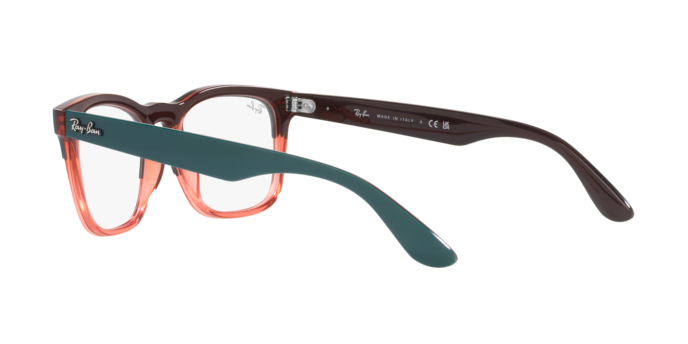 Ray-Ban Steve Eyeglasses RX4487V 8194