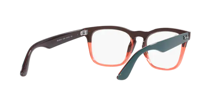 Ray-Ban Steve Eyeglasses RX4487V 8194