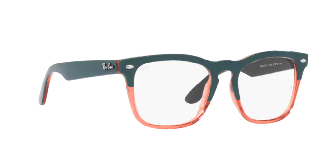 Ray-Ban Steve Eyeglasses RX4487V 8194