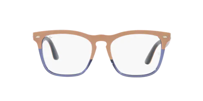 Ray-Ban Steve Eyeglasses RX4487V 8195