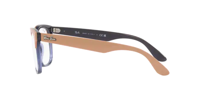 Ray-Ban Steve Eyeglasses RX4487V 8195