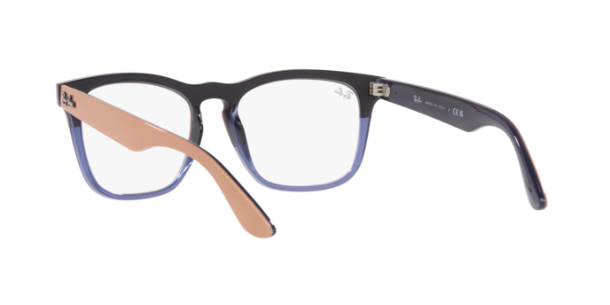 Ray-Ban Steve Eyeglasses RX4487V 8195