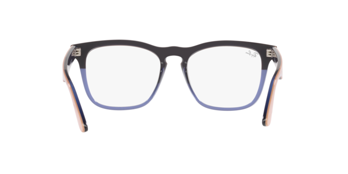 Ray-Ban Steve Eyeglasses RX4487V 8195