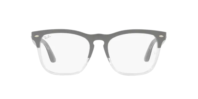 Ray-Ban Steve Eyeglasses RX4487V 8197