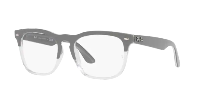 Ray-Ban Steve Eyeglasses RX4487V 8197