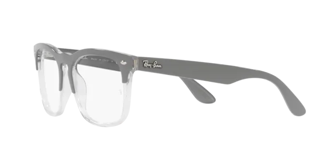 Ray-Ban Steve Eyeglasses RX4487V 8197