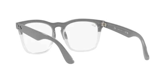 Ray-Ban Steve Eyeglasses RX4487V 8197