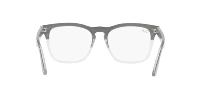 Ray-Ban Steve Eyeglasses RX4487V 8197