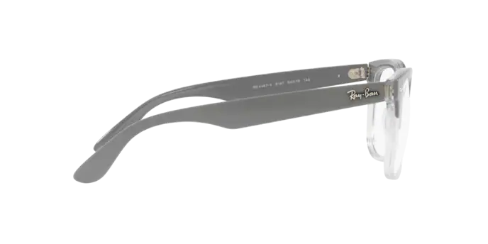 Ray-Ban Steve Eyeglasses RX4487V 8197