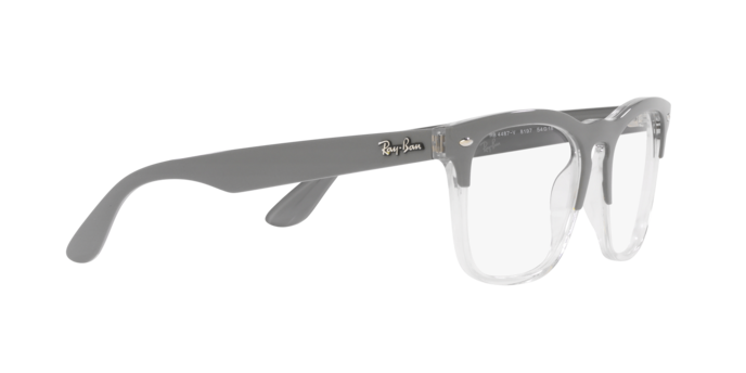 Ray-Ban Steve Eyeglasses RX4487V 8197