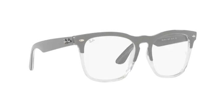 Ray-Ban Steve Eyeglasses RX4487V 8197