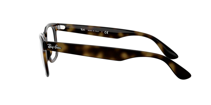 Ray-Ban Eyeglasses RX4640V 2012