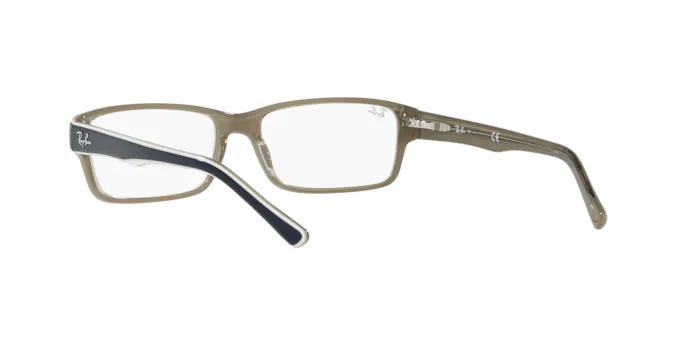 Ray-Ban Eyeglasses RX5169 8119