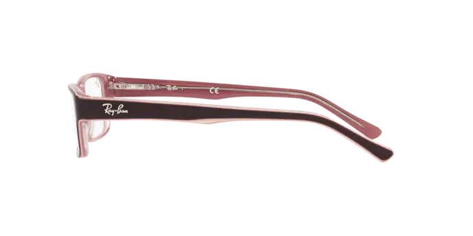 Ray-Ban Eyeglasses RX5169 8120