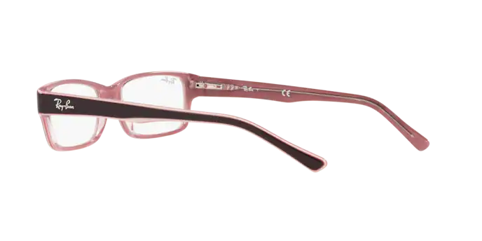 Ray-Ban Eyeglasses RX5169 8120