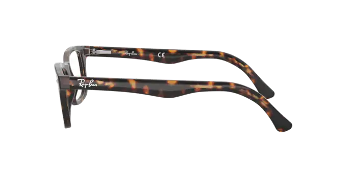 Ray-Ban Eyeglasses RX5228F 2012