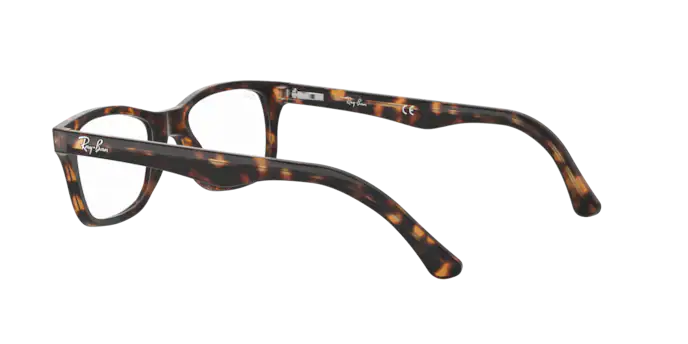 Ray-Ban Eyeglasses RX5228F 2012
