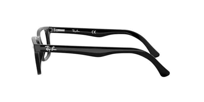 Ray-Ban Eyeglasses RX5228 2000