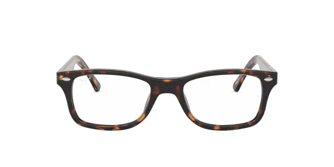 Ray-Ban Eyeglasses RX5228 2012