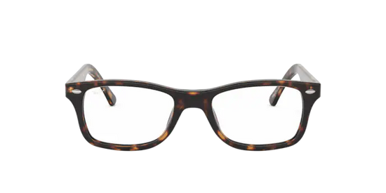 Ray-Ban Eyeglasses RX5228 2012