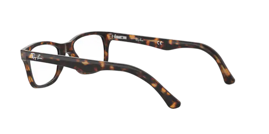 Ray-Ban Eyeglasses RX5228 2012